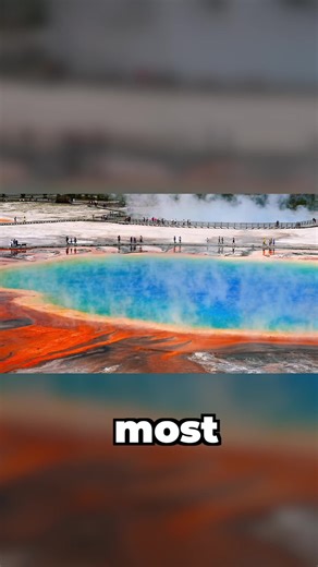 Top 5 Must-See Attractions in Yellowstone National Park