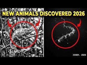 25 New Animal Species Discovered in 2026