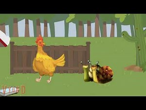 Mr Snail Rooster 720p 5f39b7e0 398f 4f60 acb8 6defa0e42fce