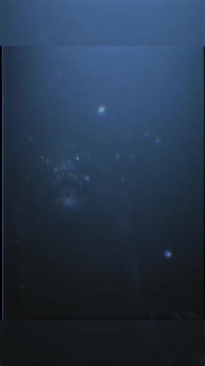 SCP 1178 #fundacaoscp #medo #terror #misterio #scp