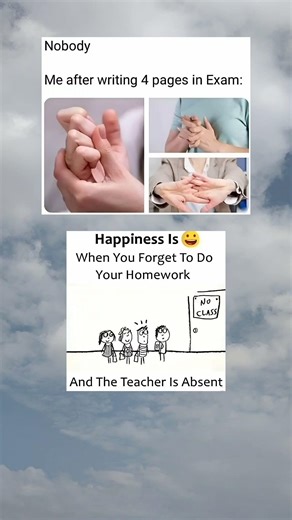 Guys really that happiness be like when you forget to do your homework and your sir absent 😂🤣