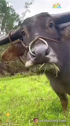 Funny Hilarious Baby Reactions You Can’t WatchingPure Smiles Fun #FunnyBaby #CuteMoments #Shorts