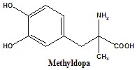METHYLDOPA Synthesis, SAR, MCQ,Structure,Chemical Properties and Therapeutic Uses - Gpatindia: Pharmacy Jobs, Admissions, Scholarships, Conference,Grants, Exam Alerts