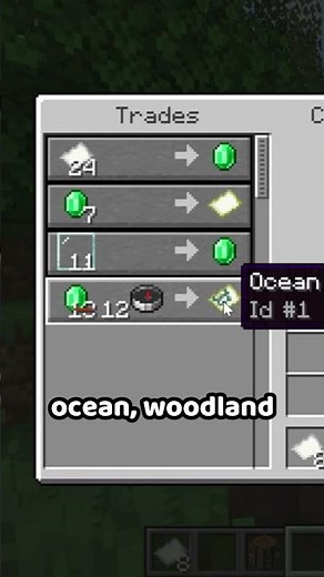 Best cartographer villager trades 🗺️ #shorts