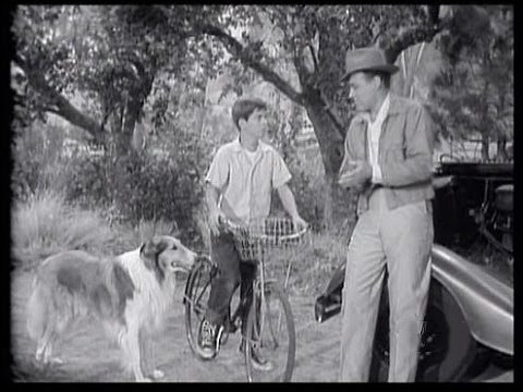 Lassie - Episode 75 - "The Gossip" - Season 3, #10 (11/11/1956)