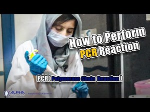Performing PCR (Polymerase Chain Reaction) Tutorial | Alpha Genomics