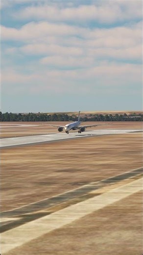 the pilot's actions endangered the plane's passengers EP383