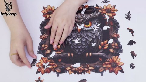 Plus Nut 1/4-20 with Installation Tool Pre-Bulbed Shank Multi-Grip Rivet Threaded Insert Nuts Blind Nutserts Plusnut Cross Rivnut Carbon Steel Gold Zinc Finish (25 pcs of Nuts)