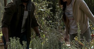 Netflix Finally Removes Disaster Footage From "Bird Box" After Outrage