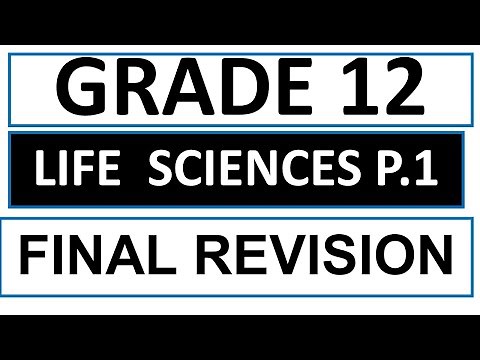 LIFE SCIENCES PAPER 1 FINAL REVISION 2025 GRADE 12 2025 FINAL EXAMS NOVEMBER PREP THUNDEREDUC