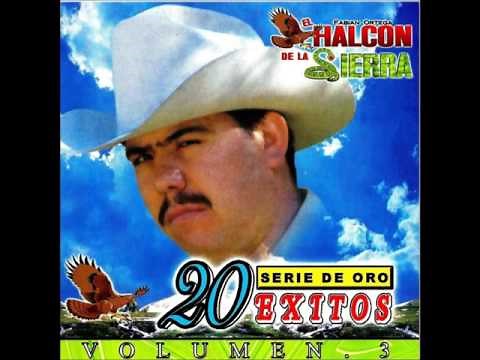 Halcón de la sierra un pajarillo