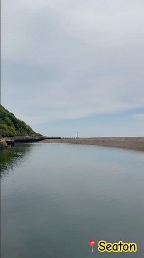 Panoramic Views of Seaton 🦀