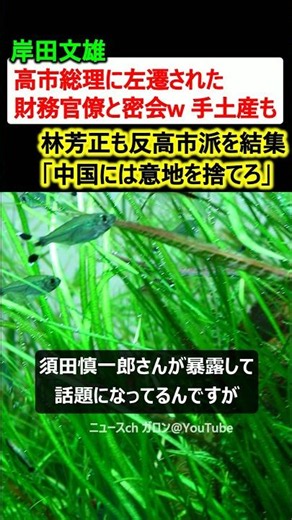 岸田文雄、高市総理に左遷された財務官僚と密会w 手土産まで持参w