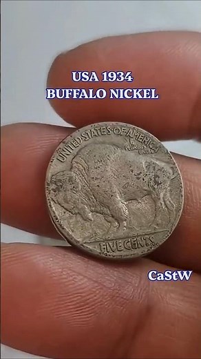 COIN COLLECTING: USA 1934 BUFFALO NICKEL #coin #treasuresearch #coinsworthmoney #coincollection #yt