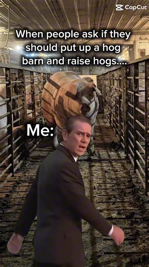 Raising hogs isn’t for the weak or for someone trying to make quick cash. But for me it’s seeing your hard work walk out that door knowing you raised them, it’s showing and teaching my kids and younger generations what it takes for pork to be in grocery stores. If you haven’t ever worked with pigs and are thinking about putting up a hog barn because “how hard could it be?” I would suggest going and working for a hog farmer for a while first. #pigfarmer #pigtok #farmtok #pigfarm #hardwork