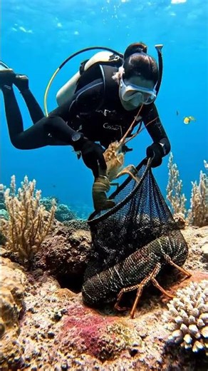 Deep Ocean Lobster Harvest 🦞 | Most Satisfying Underwater Catch! #viral #shorts