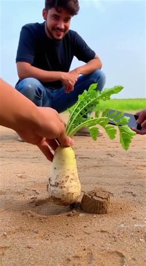 Amazing creativity videography ideas 💡😱 Transform your shots with lighting tricks