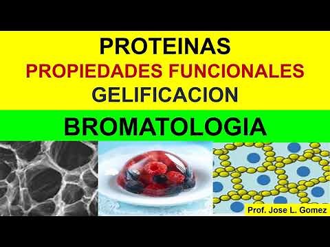 BROMATOLOGIA: Propiedades Funcionales proteína (gelificación)