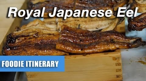 Two Whole ROYAL Japanese Unagi Eel Eels Served on a Box of Rice!