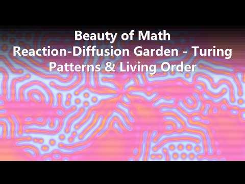 Beauty of Math: Reaction-Diffusion Garden - Turing Patterns & Living Order