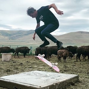 You can’t rollerskate in a buffalo herd... but you can do a kickflip. @goroamfree 🎥: @catherine_o | Tony Hawk