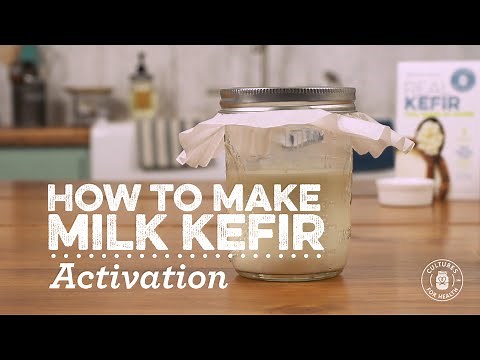 How to Activate Milk Kefir Grains | Cultures for Health