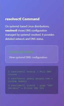 linux dns commnad