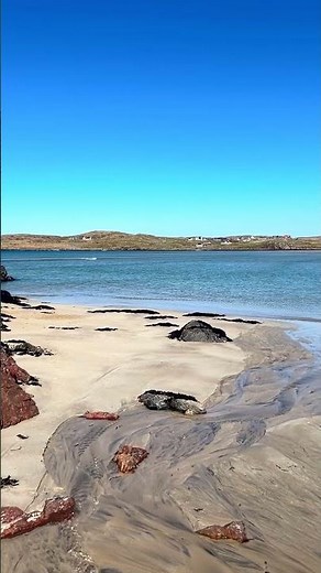 Discovering Scotland's Hidden Beaches with Rabbie's Tours 🏴󠁧󠁢󠁳󠁣󠁴󠁿🏖️