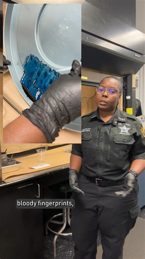 10K views · 127 reactions | A photo of the cast of CSI: Miami is...