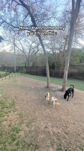 If you’re a dog mom like me (hi, it’s Taylor 🙋🏼‍♀️), you know the struggle: muddy paws, worn-out patches, and a backyard that turns into a swamp every time it rains. With four dogs running full speed 24/7, my yard didn’t stand a chance… until I transformed it with Natura Hybrid Turf. Natura Hybrid Turf isn’t artificial grass — it’s a permeable, grass-through system that reinforces your existing lawn while allowing real grass to grow naturally. That was huge for me because I didn’t want plastic