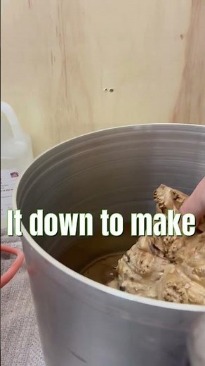 Stabilizing Maple Burl Wood tutorial! Simple! #shorts