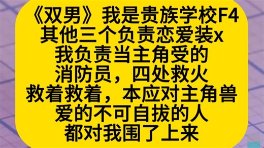 双男主 我是贵族学校F4之一，其他三个负责恋爱装X，我负责当主角授的消防员，四处救火……小说推荐