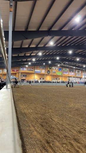 Still time to get here and watch these stallions drive. We aren’t halfway through yet! | The Standardbred Journal