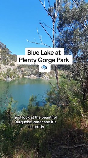 Things to do in Melbourne, under one hours drive! The Blue lake circuit at Plenty Gorge Park! #bluelake #plentygorge #turqoisewater #bluelagoon #naturewalks
