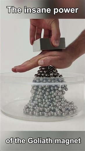 Goliath VS Steel Balls