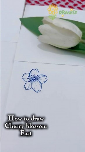 Relaxing Sakura Flower Drawing | Easy Step-by-Step Art Tutorial 🌸