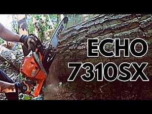 Testing The Echo 7310SX Powerful Chainsaw in bad conditions