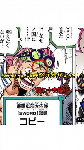 swordには最終兵器が残っていました。 #ワンピース考察 #ONEPIECE #ワンピース #ワンピース古代兵器 #イム様