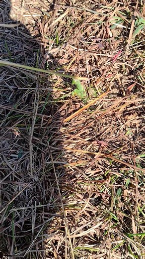 Lydia Tapley on Reels