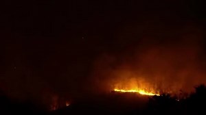 Alaskan Wildfires Precede Potentially Devastating Global Fire Season