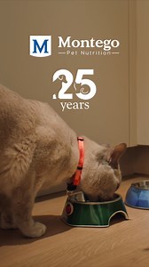 From the first meow of the morning to the last curl-up at night, we know that pets make life better. That’s why we remain committed to keeping them happy, healthier, and by your side. Here’s to 25 years of purring, pouncing, and beyond. #Montego25Years #BetterEveryDay Montego25Years | Montego Pet Nutrition