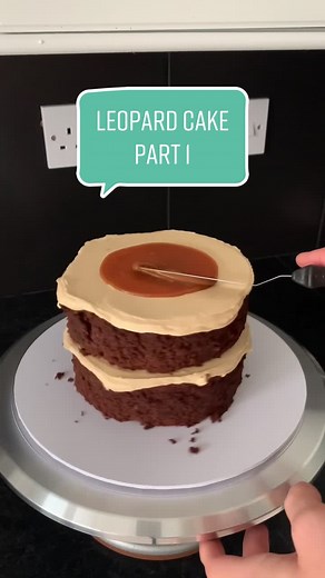 Delicious Salted Caramel Chocolate Leopard Cake Recipe