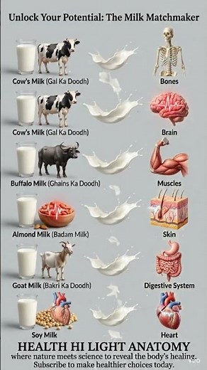 Which Milk is ACTUALLY Best for Your Body? 🥛. #shorts.