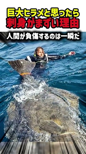 [Shocking] Why isn't it eaten as sashimi? The surprisingly unexpected true face of the Alaskan mo...