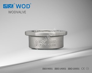 [Hot Item] Pn40 Stainless Steel Non-Return Valve, Disco/Wafer/Spring/Swing/Single Type Check Valves