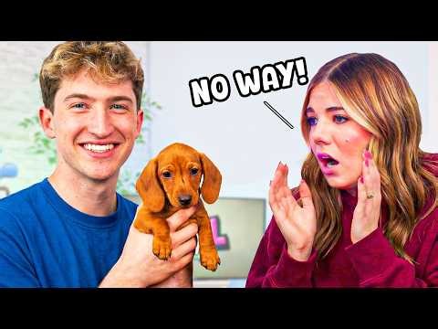 Kate Got A New Dog?!