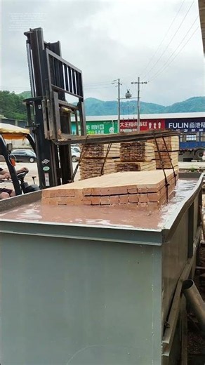 Holz in Wasser: Wie eine einfache Pflege Jahrhunderte haltbarer macht