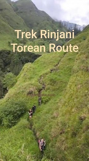 trek rinjani torean route #wisatainternasional #travel #travel #mountains #international