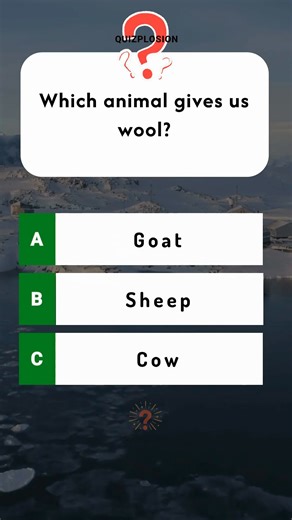 52K views · 8.4K reactions | Random Quiz 41 #quiz #QuizChallenge #generalknowledge #gkquiz #Quizzes | quizplosion | Facebook