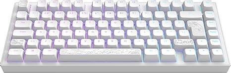 Dark Project ALU81A Terra Nostra Mechanische Gaming-Tastatur | ISO Multi | Hot-Swap | G3MS Moonstone Gefettete Schalter | Gefettete Stabilisatoren | Flex Gasket Mount | Aluminium | 75% | RGB